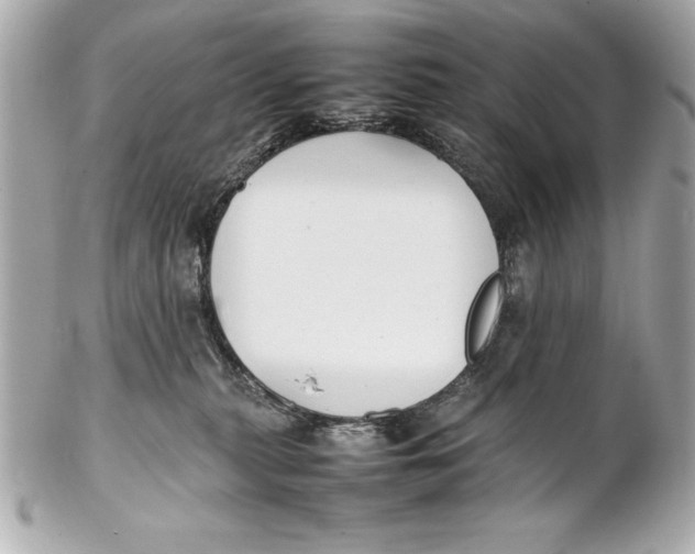 X0000102270279200808151911