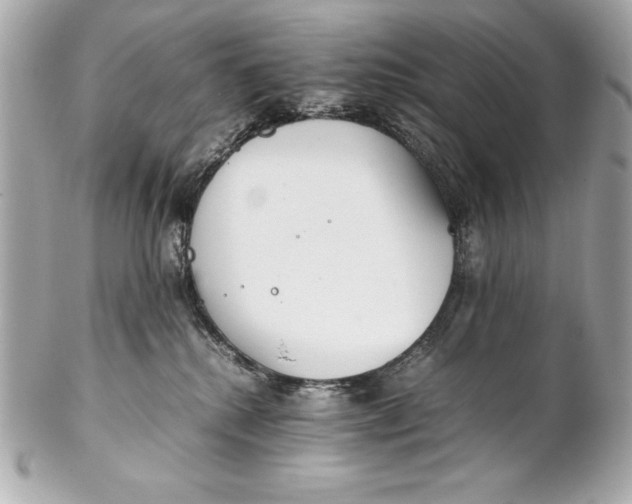 X0000102270280200808151911