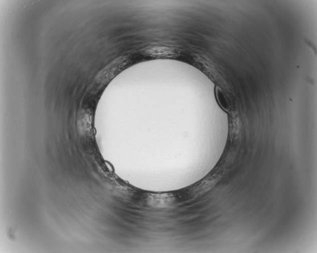 X0000102270281200808151911