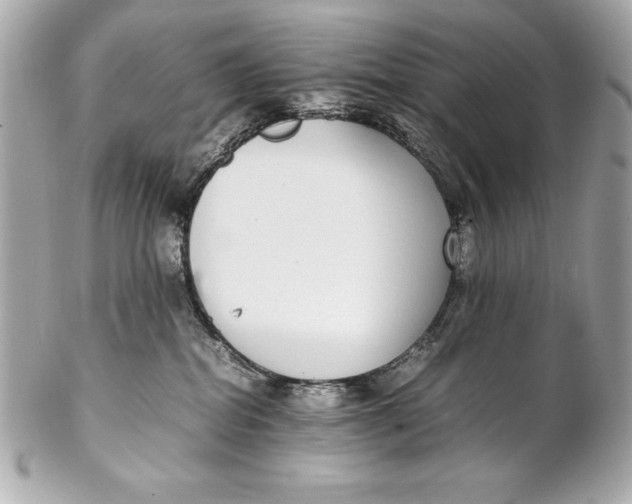 X0000102270282200808151911