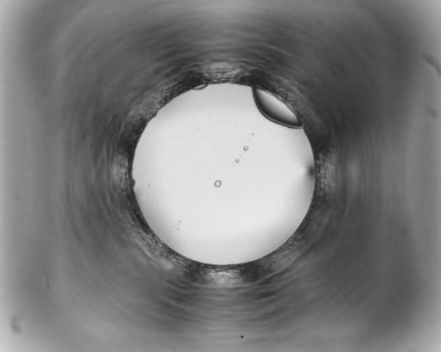 X0000102270283200808151911