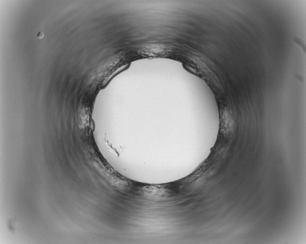 X0000102270284200808151911