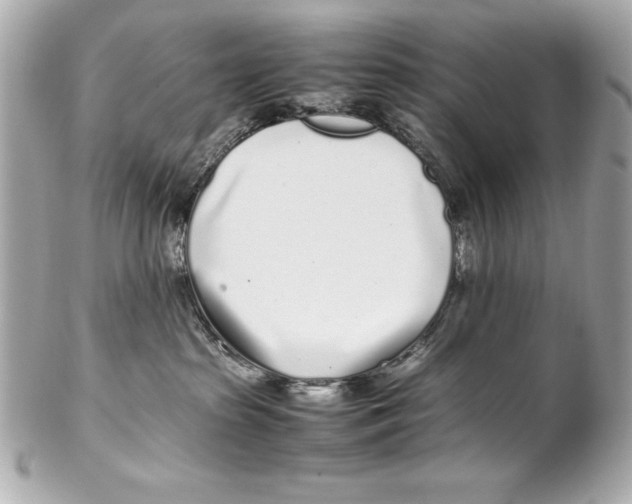 X0000102270285200808151911