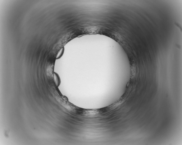 X0000102270286200808151911