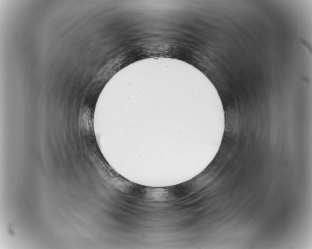 X0000102270287200808151911