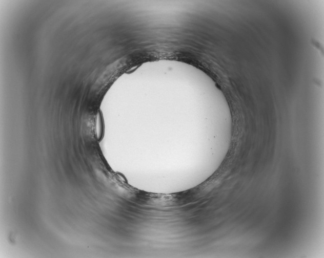 X0000102270288200808151911