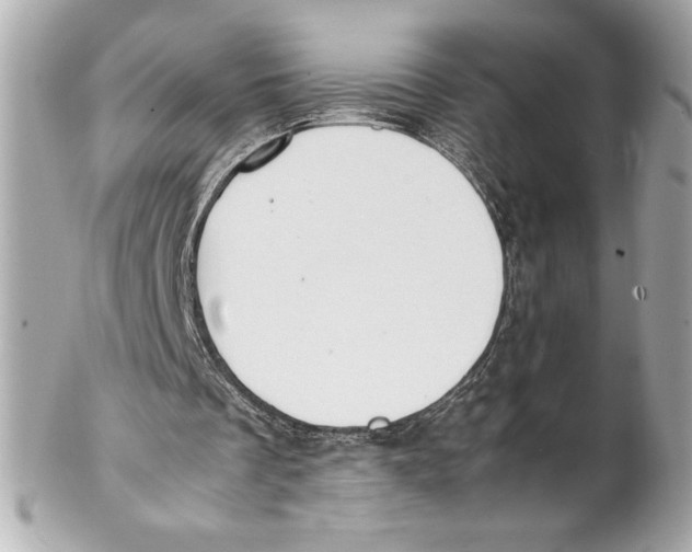 X0000102270289200808151911