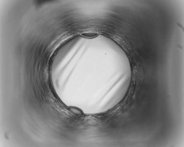 X0000102270290200808151911