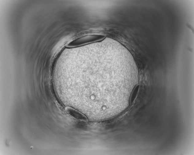 X0000102270293200808151911