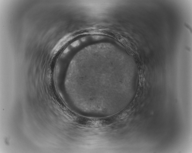 X0000102270295200808151911