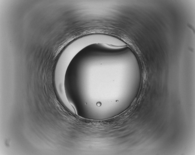 X0000102270297200808151910