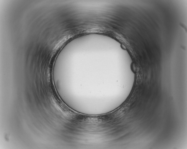 X0000102270298200808151910