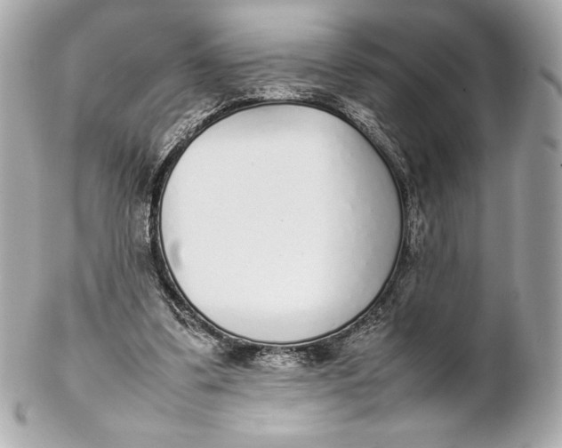 X0000102270299200808151910