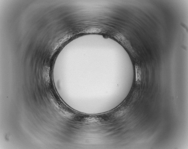 X0000102270300200808151910