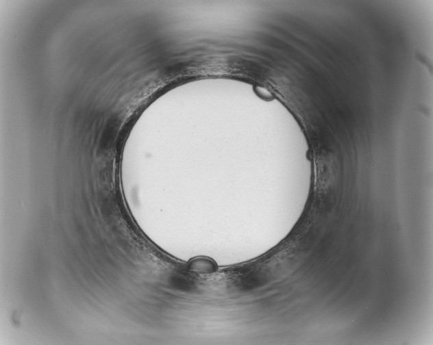 X0000102270301200808151910