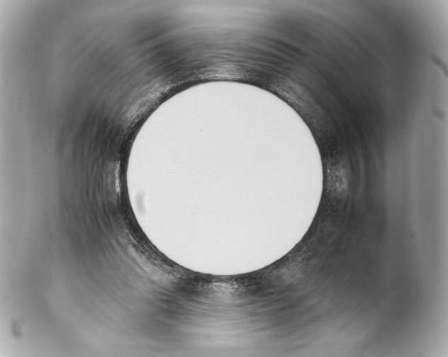 X0000102270302200808151910