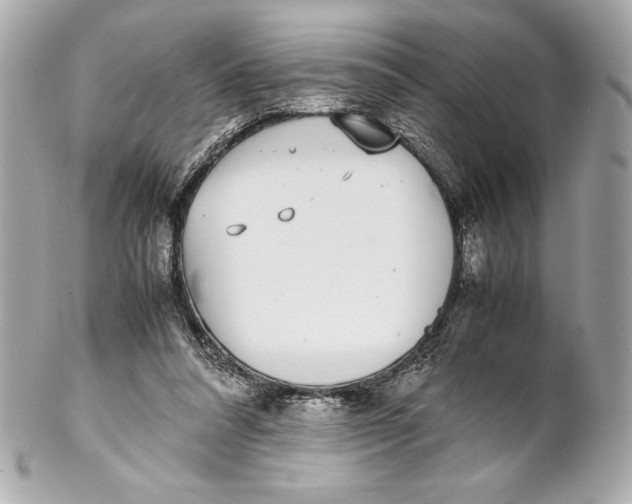 X0000102270304200808151910