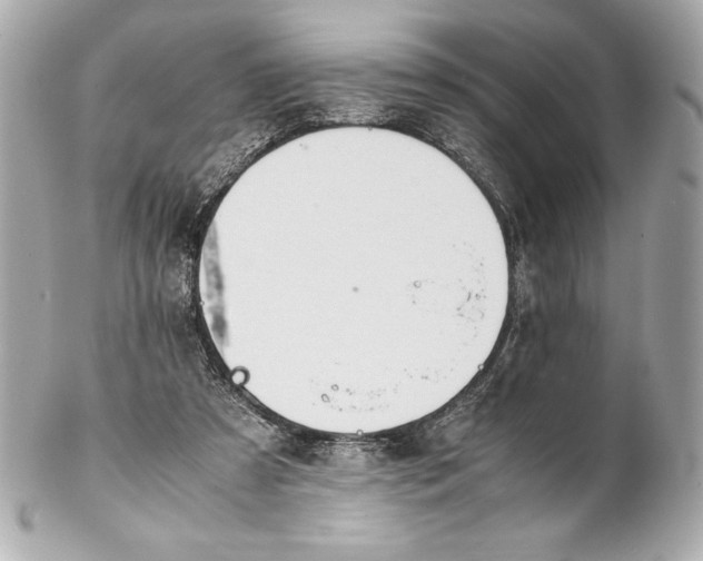 X0000102270305200808151910