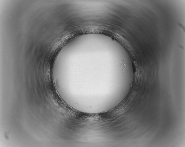 X0000102270306200808151910