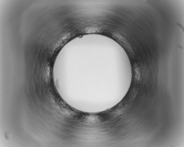 X0000102270308200808151910