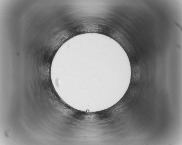 X0000102270309200808151910