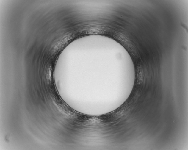 X0000102270310200808151910