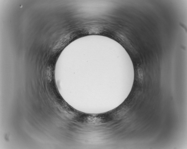 X0000102270311200808151910