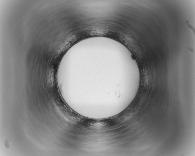 X0000102270312200808151910