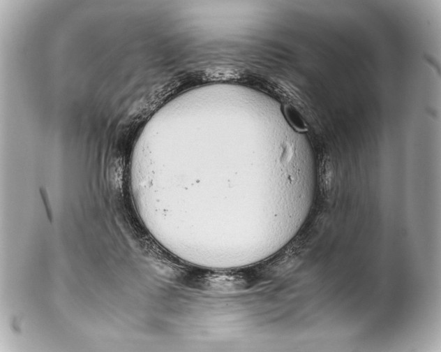 X0000102270315200808151910