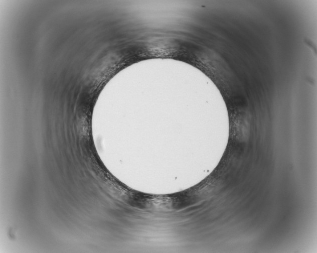 X0000102270317200808151910