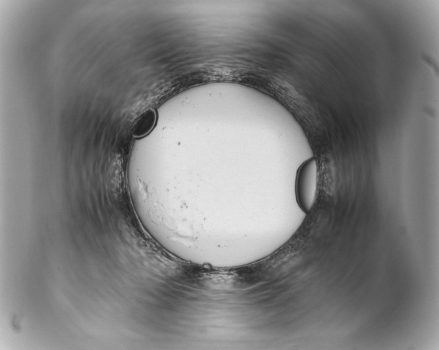 X0000102270318200808151910