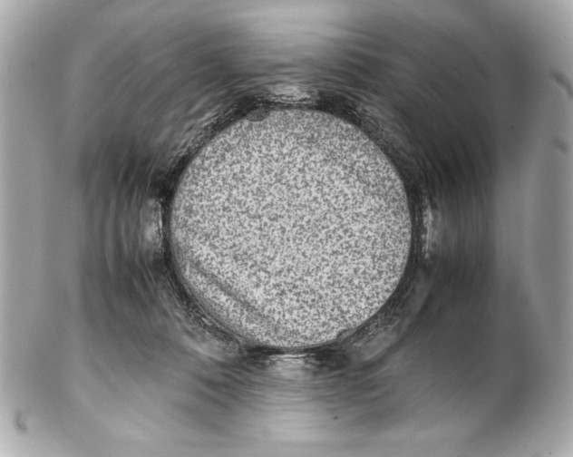 X0000102270320200808151910