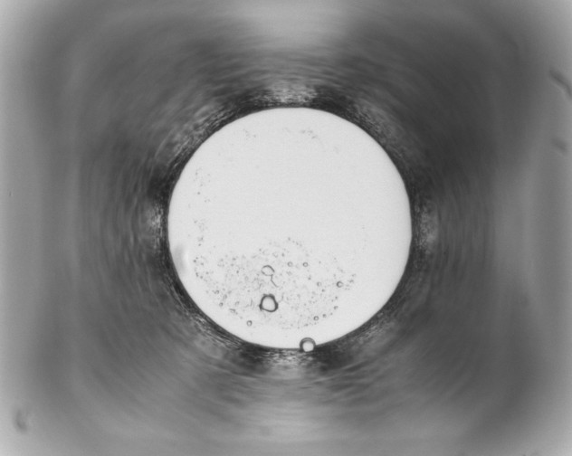 X0000102270321200808151910