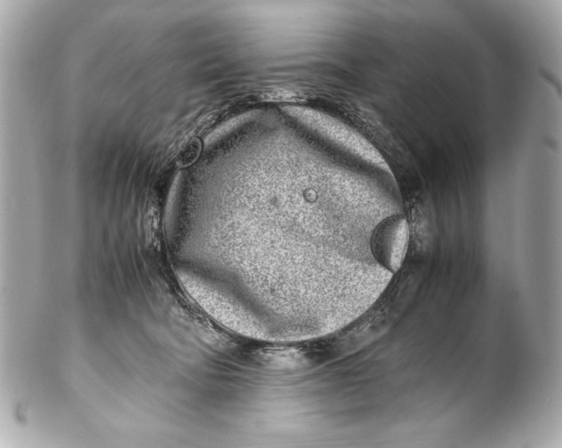 X0000102270322200808151910