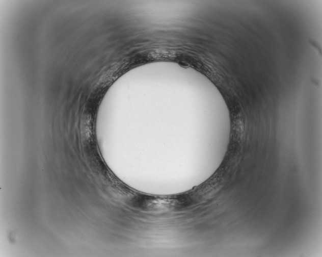 X0000102270323200808151910