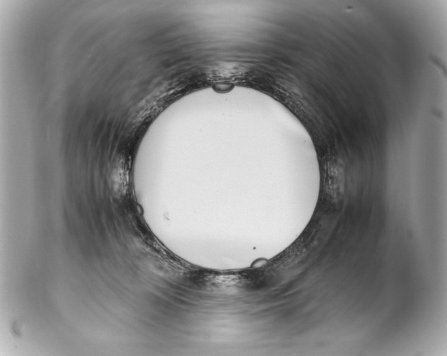 X0000102270324200808151910