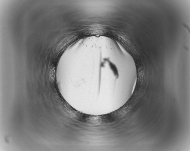 X0000102270325200808151910