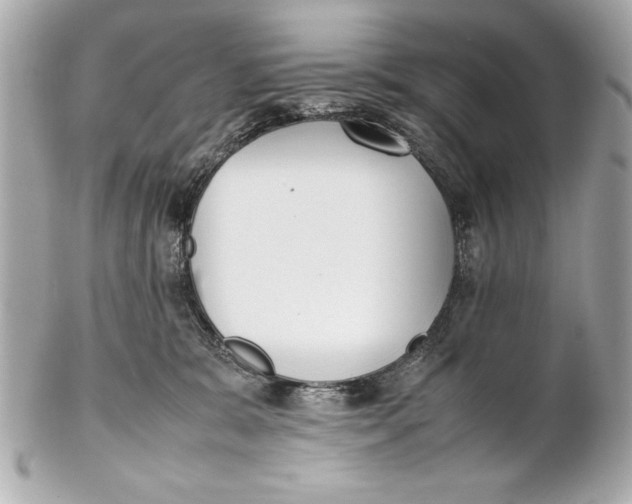 X0000102270327200808151910