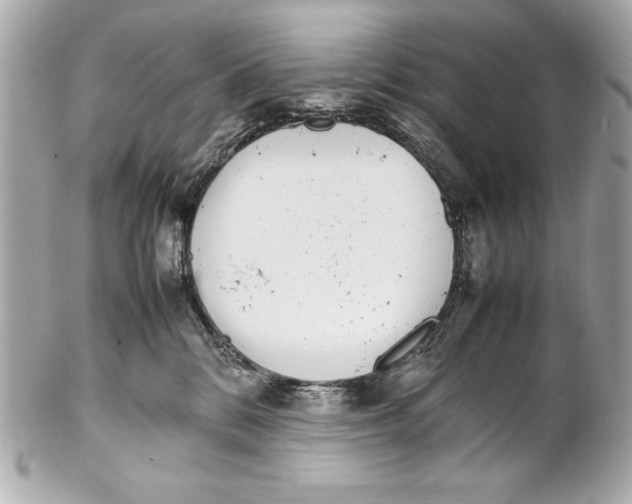 X0000102270328200808151910