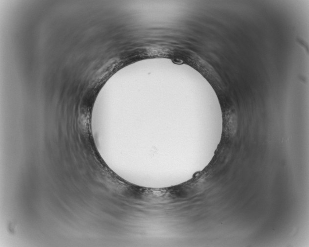 X0000102270329200808151910