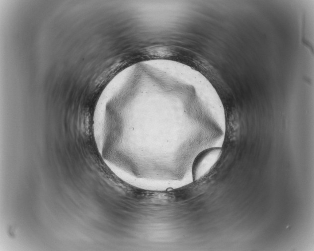 X0000102270330200808151910