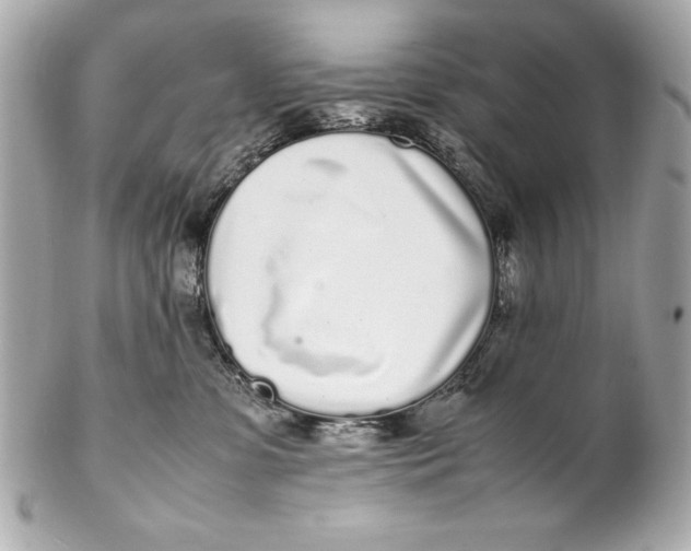 X0000102270331200808151910