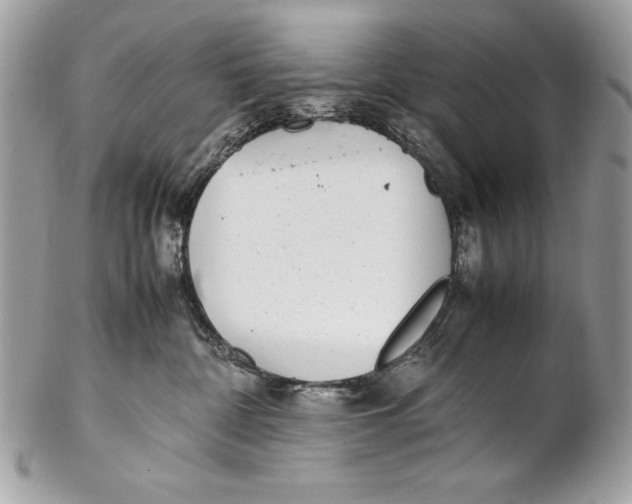 X0000102270332200808151910