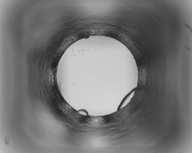 X0000102270333200808151910