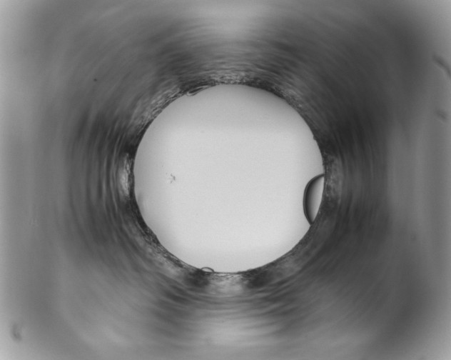 X0000102270334200808151910