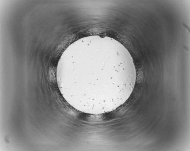 X0000102270335200808151910