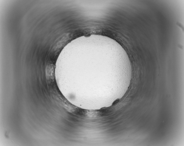 X0000102270336200808151910