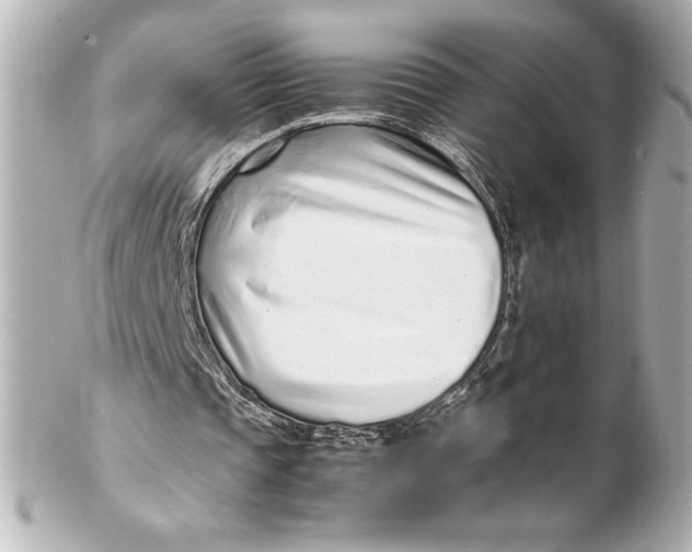 X0000102270337200808151909