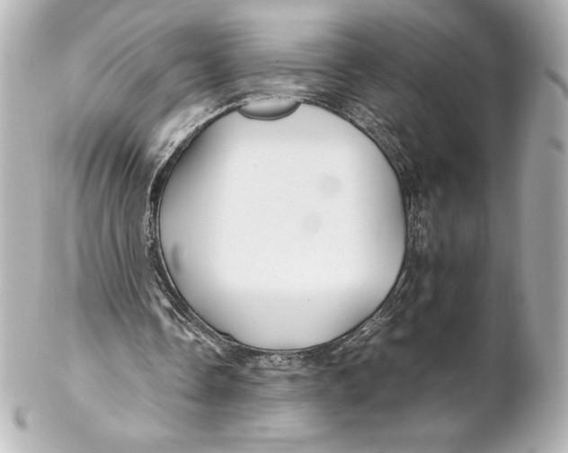 X0000102270338200808151909