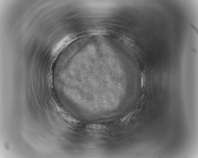 X0000102270339200808151909